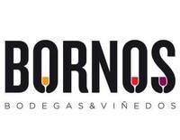 Bodegas & Vinedos Bornos ������� �������