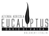 Eucaliptus ������ �������