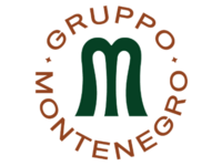 Gruppo Montenegro ������ �������