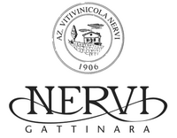Nervi