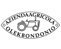 Olek Bondonio ������ �������