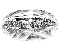 Rivella Serafino ������ �������