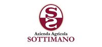 Sottimano