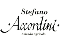 Stefano Accordini ������ �������