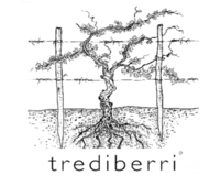 Trediberri ������ �������