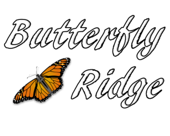Butterfly Ridge (���������� ����)