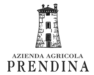 Prendina (��������) 