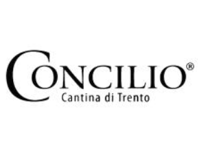 Concilio (��������)