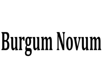 Burgum Novum (������ �����)