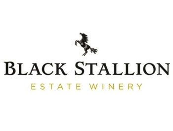 Black Stallion (���� ��������)