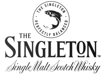 Singleton (��������)