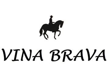 Vina Brava (����� �����)