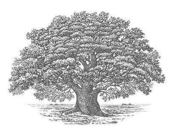 ������ ������� ��� (Old Russian Oak)