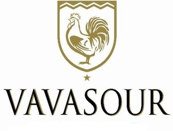 Vavasour (�������)
