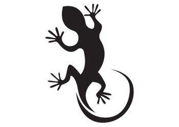 Lizard (������)