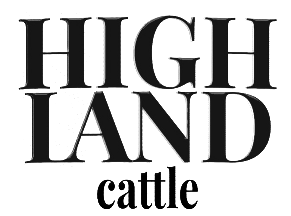 Highland Cattle (������� �����)
