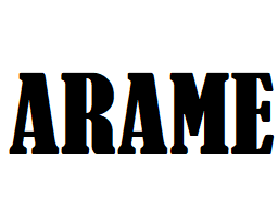 Arame (�����)