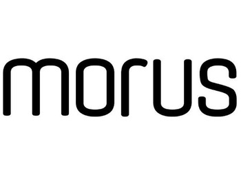 Morus (�����)