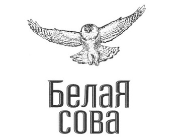 ����� ���� (Snow Owl)