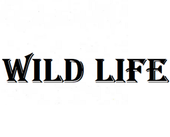 Wild Life (����� ����)