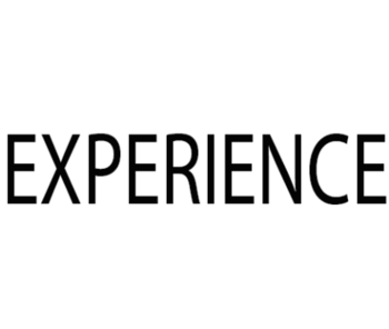 Experience (����������)