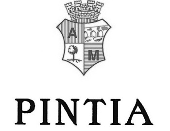 Bodegas Pintia (������� ������)