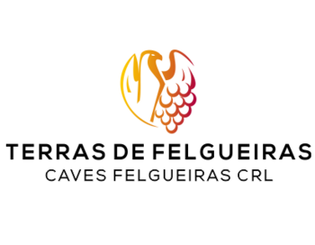 Caves de Felgueiras (����� �� ���������)