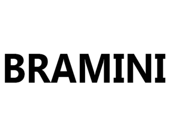 Bramini (�������)