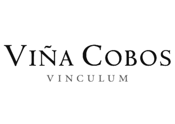 Vinculum (��������)