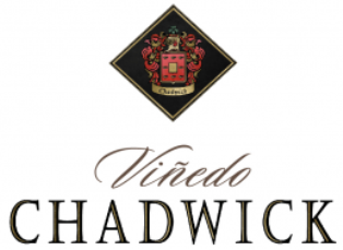 Vinedo Chadwick (������� ������)