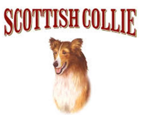 Scottish Collie (������� �����)