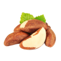 ����������� ����