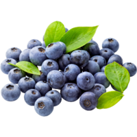 Черника Черника