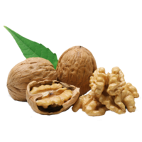 ������� ����