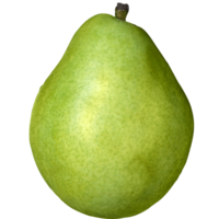 ����� �������