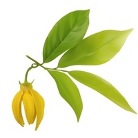 �����-�����