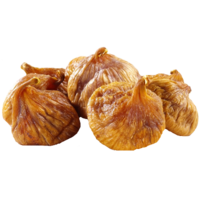 ����� ��������