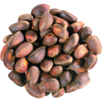 �������� �����