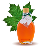 �������� �����