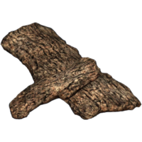 ���� ������