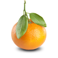 Мандарин Мандарин