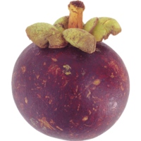 Мангостин Мангостин