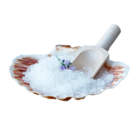 ������� ����