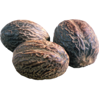 ��������� ����