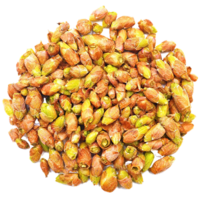 ����� ������ ���������