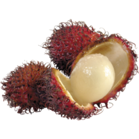 Рамбутан Рамбутан