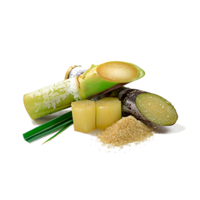 �������� ��������