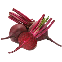 Свекла Свекла