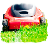 ����� ���������� �����