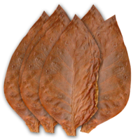 �������� ����